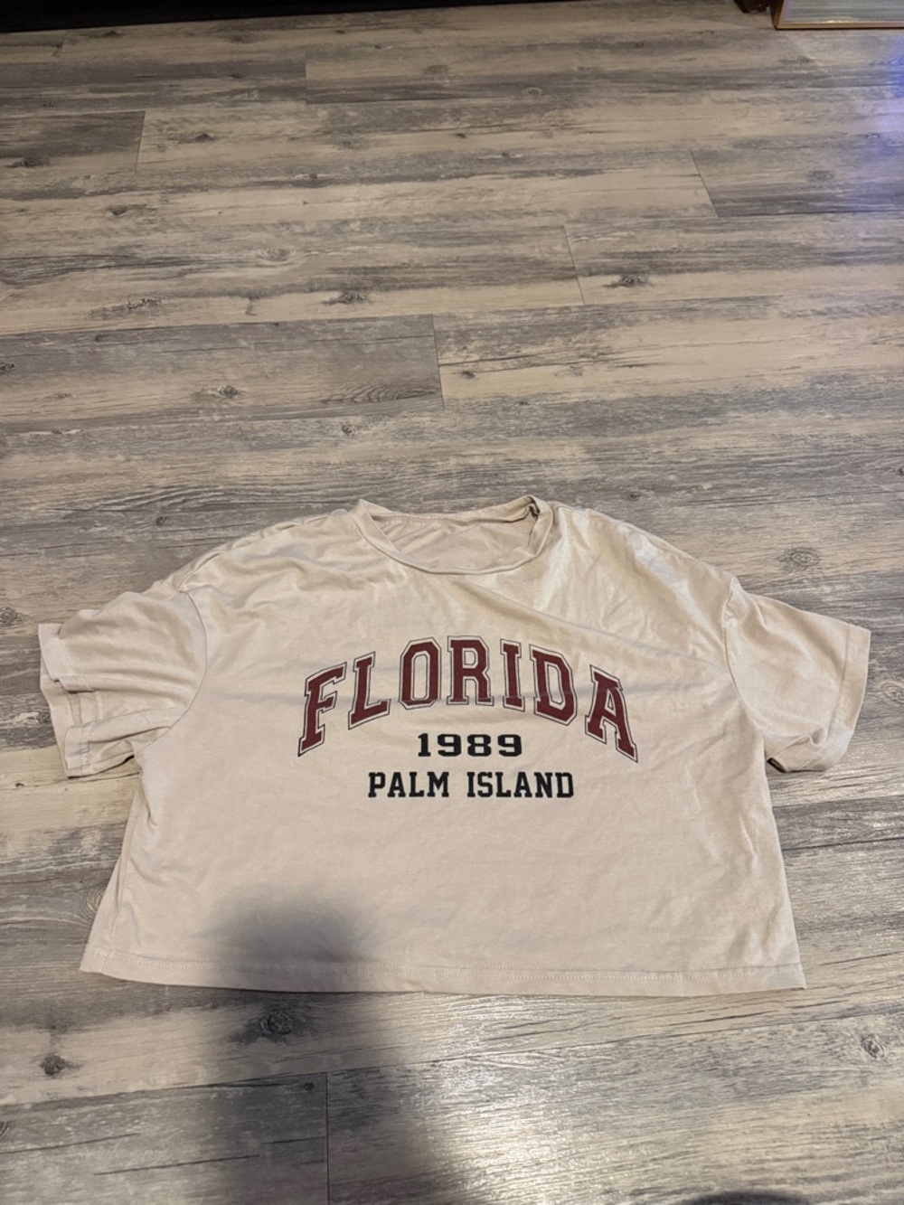 Florida 1989 Palm Island Graphic Crop Tee - Beige